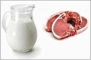 باورهای نادرست تغذیه ای در خصوص شیر و لبنیات